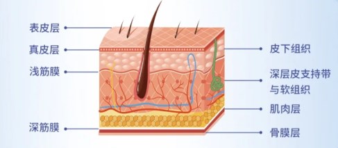 孙玮骏做速拉美拉皮与同行对比