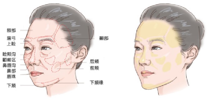 北京京韩乔爱军审美技术好
