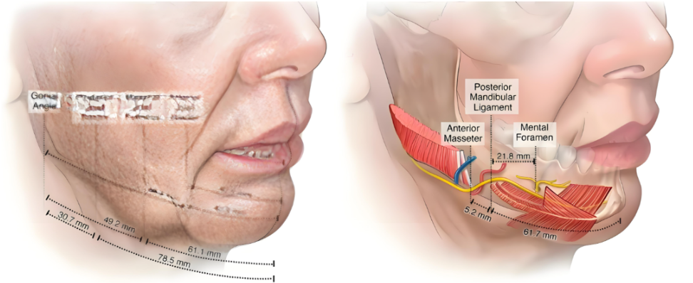 冯立哲医生简介