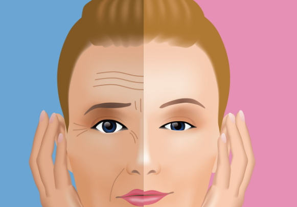 张永双燕尾提拉价格合理性与透明度