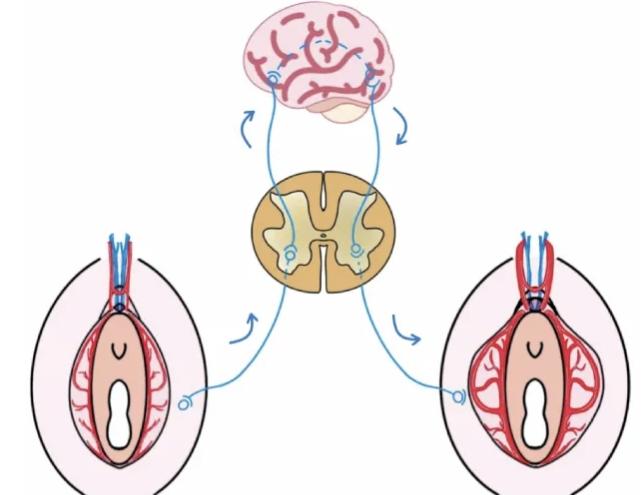 成都密爱天使私密抗衰中心是骗子吗？花3万做私密抗衰不后悔~