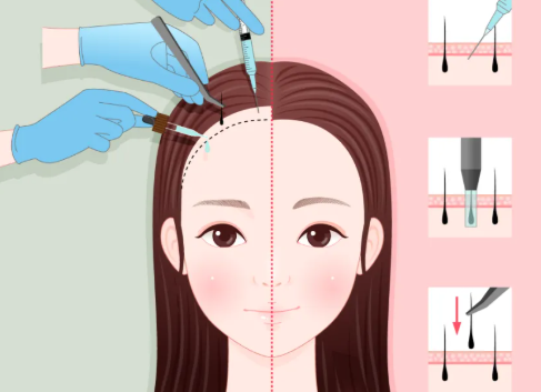 2025雍禾官网收费价目表大公开