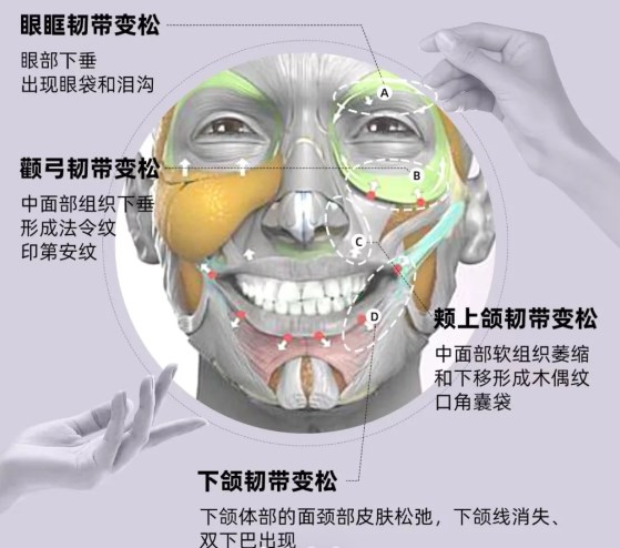 6. 北京大学第三医院（谢宏彬医生）