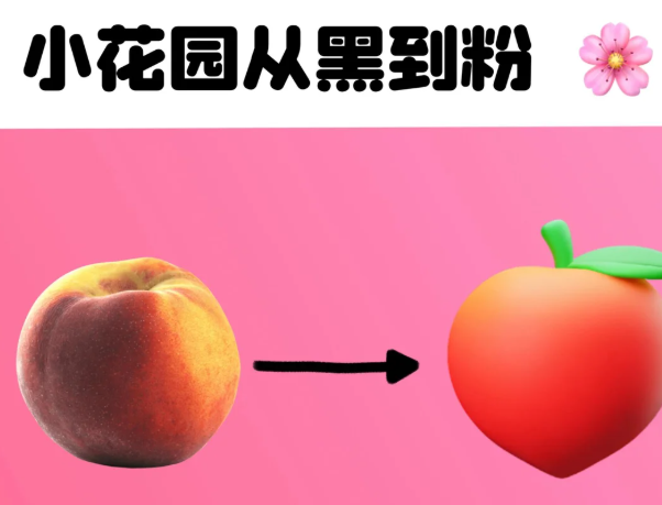 欧洲之星蕊丽漂粉的原理:为什么3次能有成效