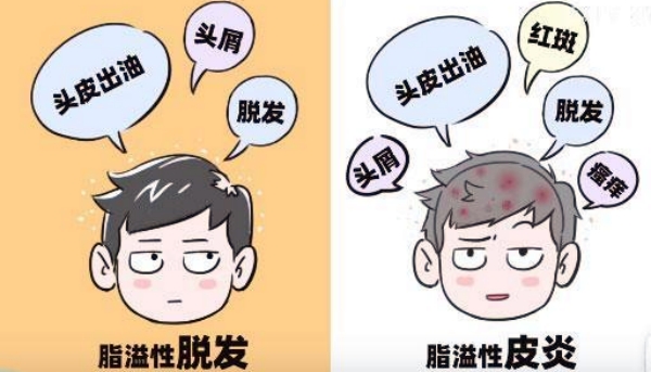 三、2025碧莲盛植发询问预约的就诊攻略与特色服务www.aimei.com