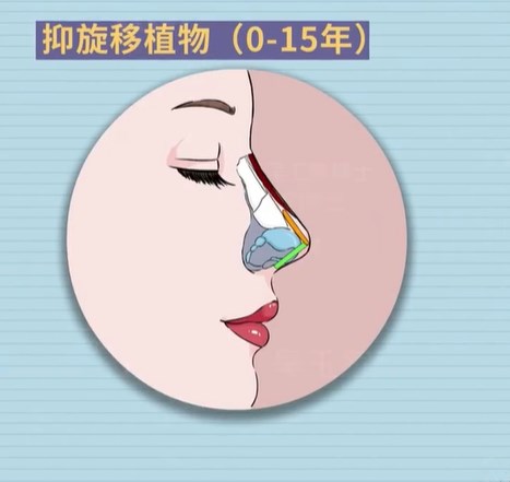 【主推项目 & 价格区间】