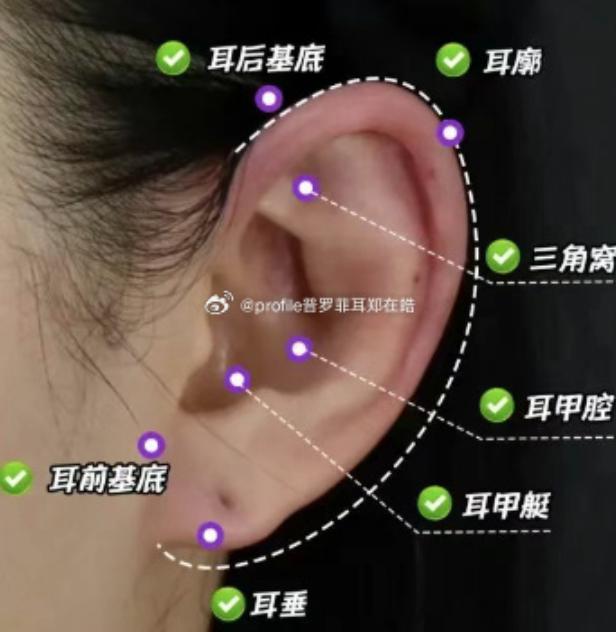 四、私立医院精灵耳手术就诊全流程指南www.aimei.com