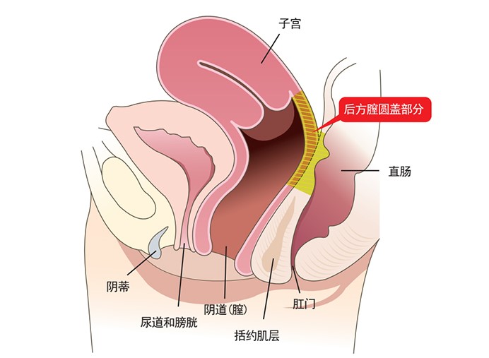 套路3:无医生资质