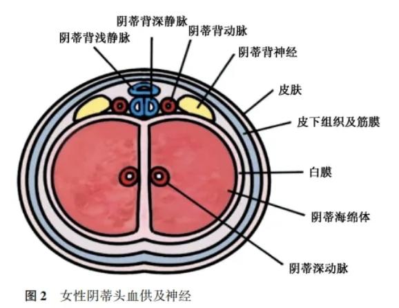 三、重庆骑士医院私密科就诊流程与费用优化建议