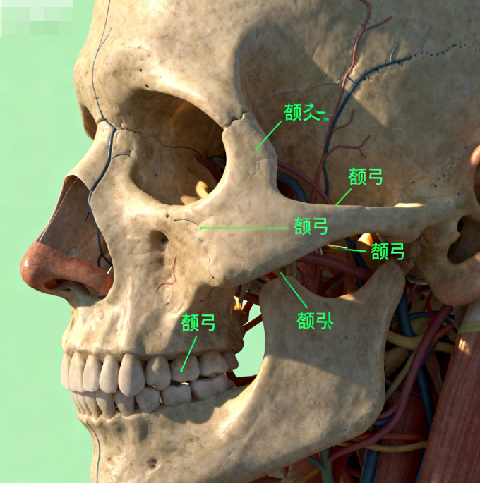 三、韦敏和张笑天磨骨技术特点&诊疗风格：细节决定体验感