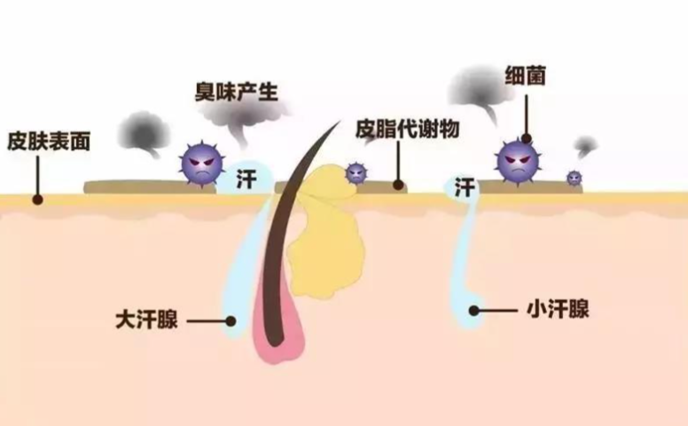 三、金华去狐臭的手术多少钱 单侧vs双侧的价格www.aimei.com