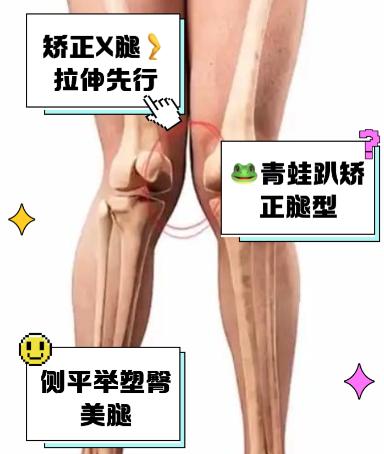 2. 筋膜松解:打破腿部张力壁垒