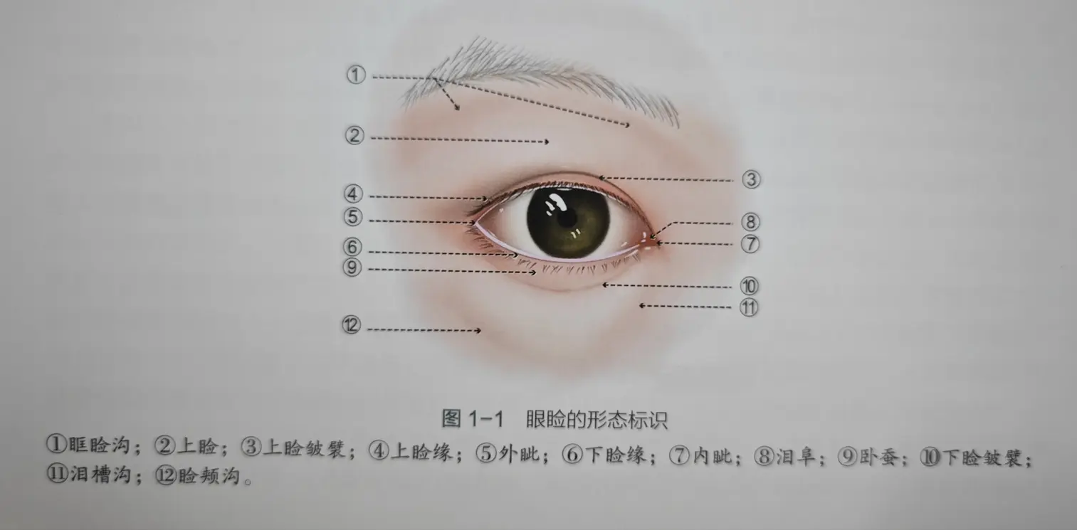 二、广州刘韶瑞用显微技术做初眼真能3天消肿？关键数据揭秘www.aimei.com