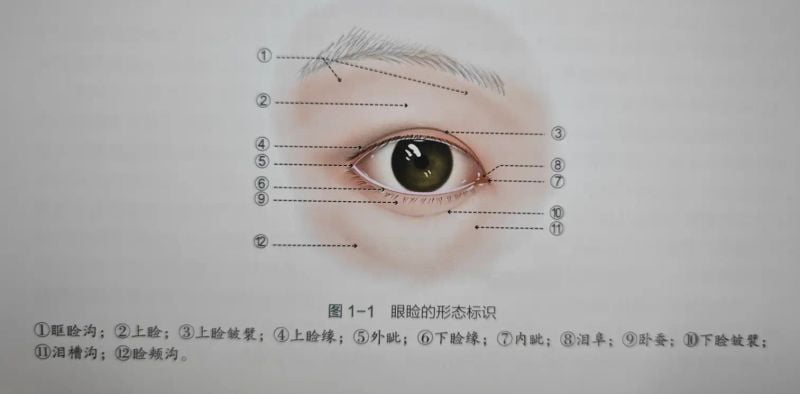 二、杭州整形医院杨甄宇割双眼皮上万条好评都夸啥?自然不肿是真是假?