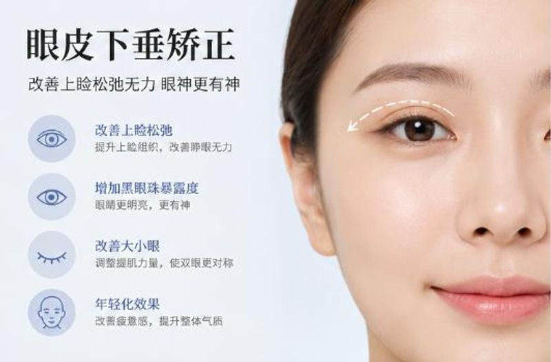 三、杭州艺星欧阳帆和高士乾价格与价值:贵在哪?便宜又在哪?