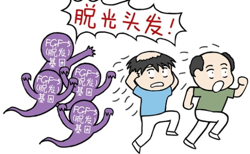 北京雍禾植发2026收费明细表公开：发际线8000元起、头顶加密10000元起、不剃发30元/单位起