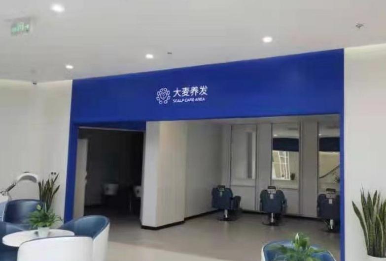 深圳大麦植发报价大概多少?单毛囊FUE技术大约8元,SHT植发技术12元起