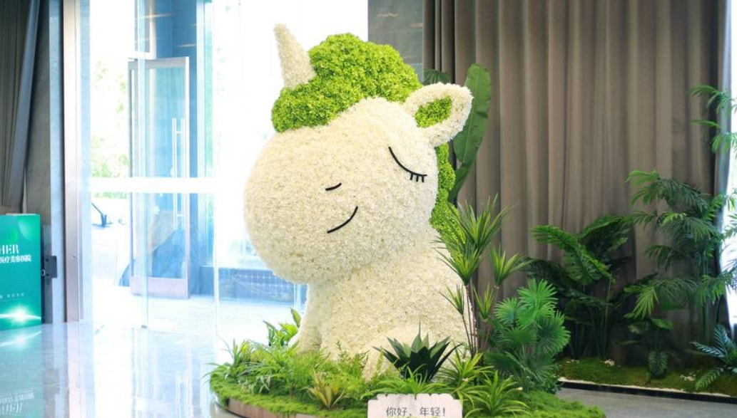 济南丽合整形项目价格贵吗？双眼皮3000元起，热玛吉9800元起