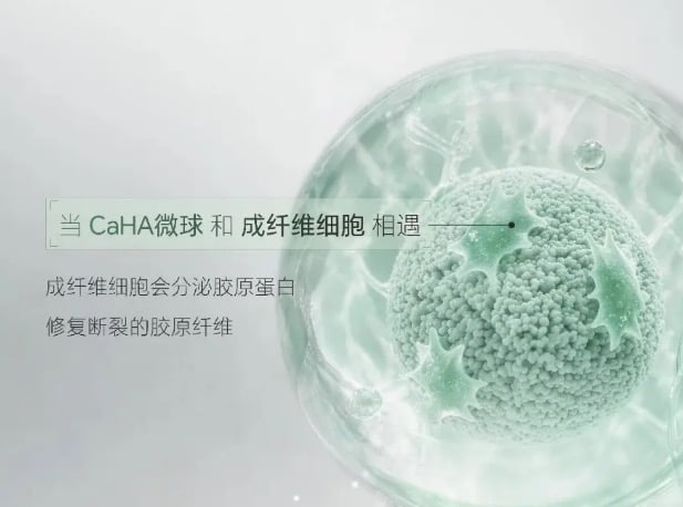 四、价格与市场信息：你的预算适合哪一款？www.aimei.com