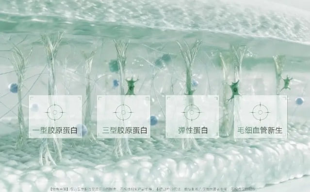 五、避坑指南与验真方法：如何确保自己用的就是正版？