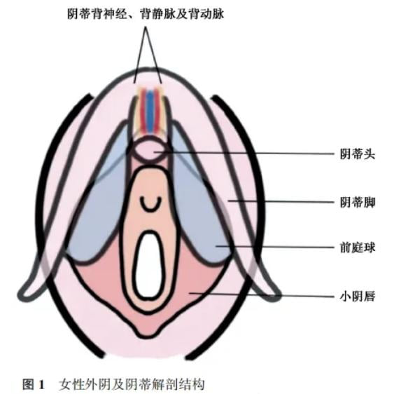 四、荆州汇美医疗整形私密粉嫩术后护理全指南