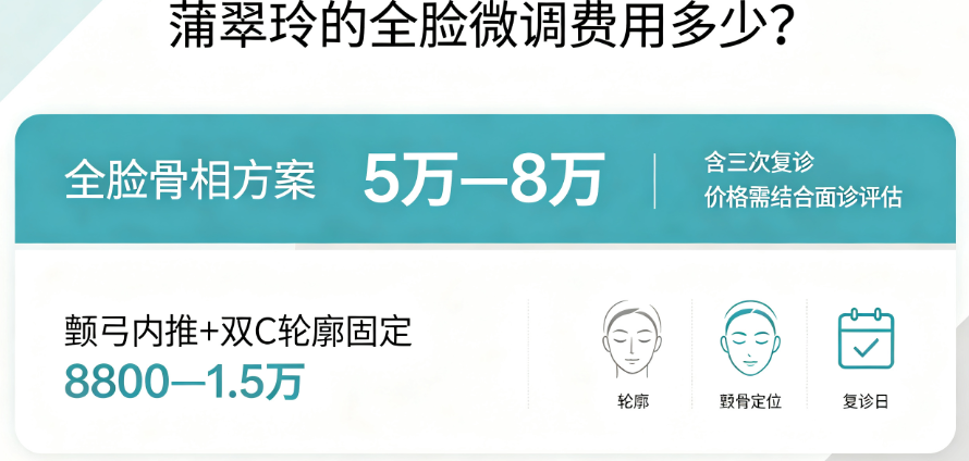 决策指南:如何围绕蒲翠玲的全脸微调费用多少做规划