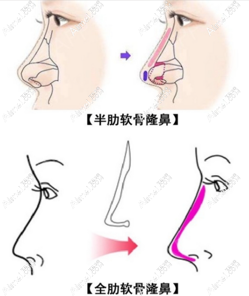 三、重庆艺星热门项目价格参考