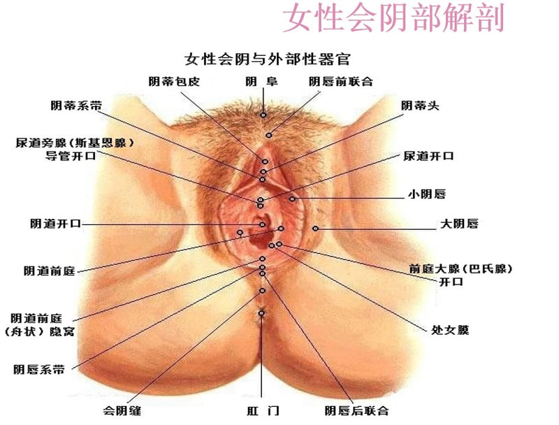 4. 乳头乳晕缩小术