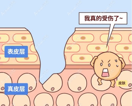 二、2025年郑州枝蔓医疗光纤修复价格全公开